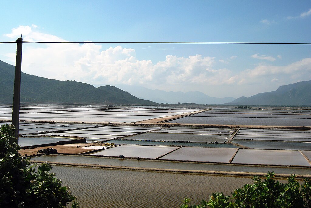 Ruộng muối ở Phan Rang