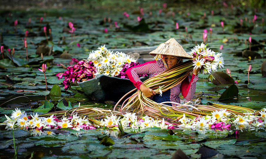 Thiên Nhiên Nam Bộ